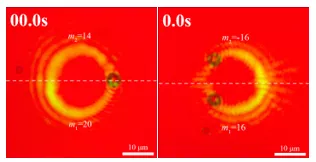 轨道角动量可控的嫁接光学涡旋 行业新闻 第3张