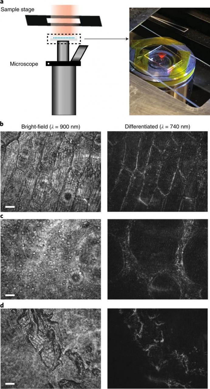 Nature-光子学：超表面实现图像边缘提取 行业新闻 第4张