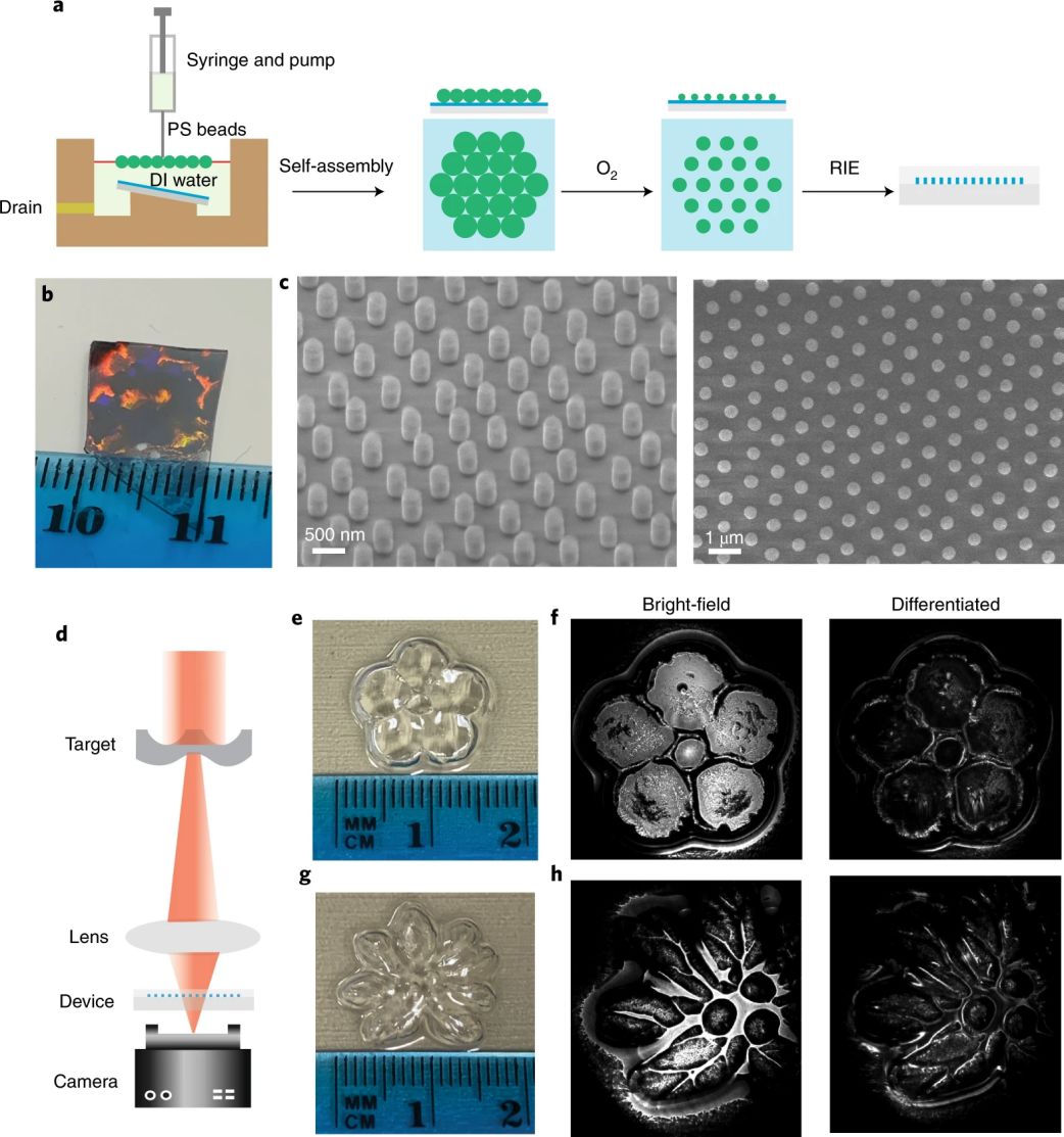 Nature-光子学：超表面实现图像边缘提取 行业新闻 第5张