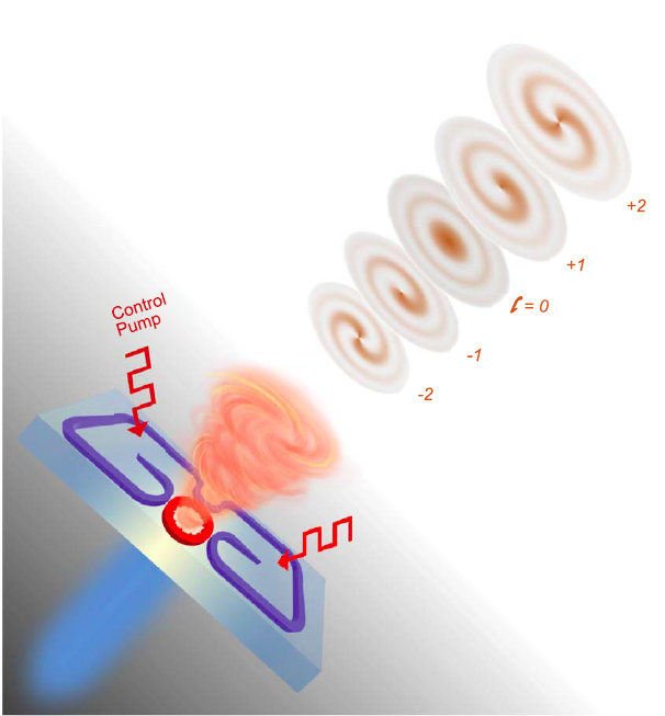 双Science!《科学》报道芯片集成可调控涡旋激光器和涡旋光探测器 行业新闻 第5张