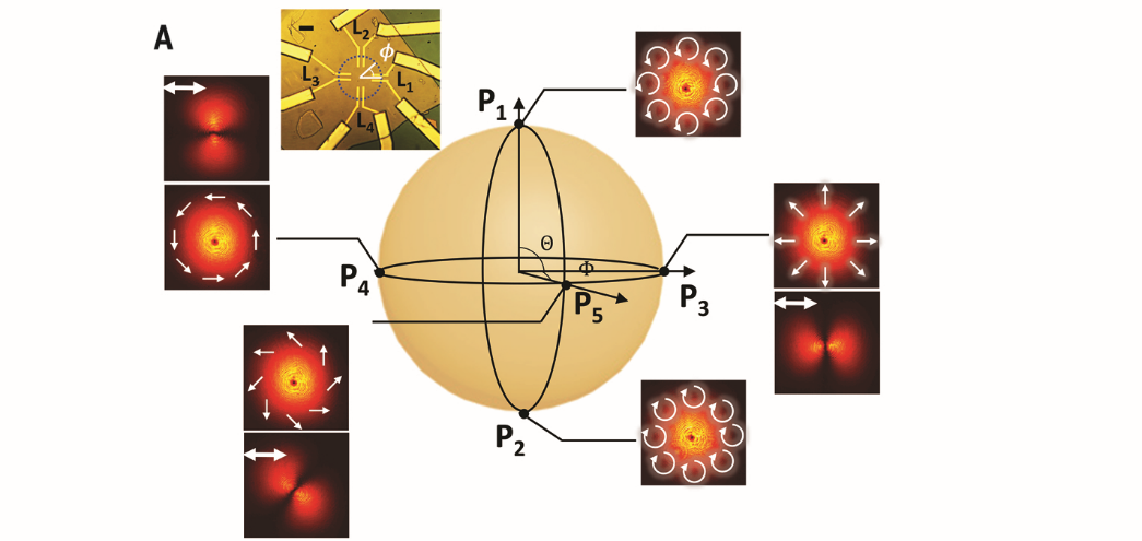 双Science!《科学》报道芯片集成可调控涡旋激光器和涡旋光探测器 行业新闻 第8张