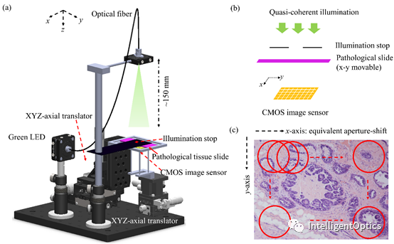 深度学习实现彩色PIE无透镜显微成像（Optics and Lasers in Engineering） 行业新闻 第1张