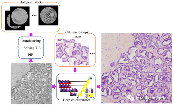 深度学习实现彩色PIE无透镜显微成像（Optics and Lasers in Engineering） 行业新闻 第2张