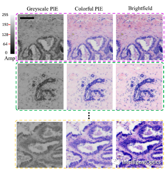 深度学习实现彩色PIE无透镜显微成像（Optics and Lasers in Engineering） 行业新闻 第8张
