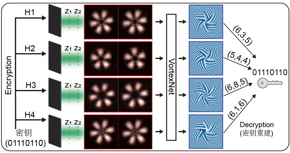 基于深度学习的复杂涡旋光场识别以及相位型密钥分发方案 行业新闻 第3张
