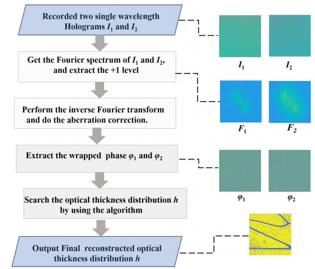 一种解决双波长数字全息固有问题的新方法 行业新闻 第2张