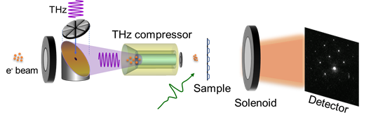 超快科学 | 太赫兹增强的超快电子衍射技术 行业新闻 第1张