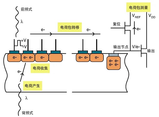 带你认识CCD、EMCCD、CMOS和sCMOS 行业新闻 第2张