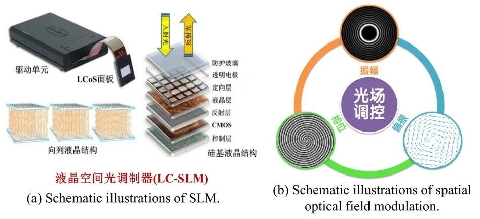 基于液晶空间光调制器的光场调控技术及应用进展（姚保利研究员团队） 行业新闻 第2张