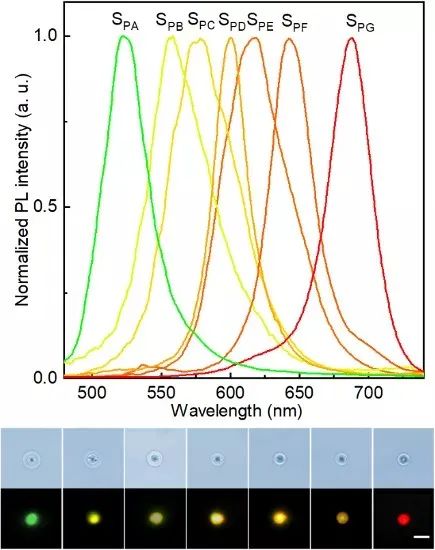 Science-浙江大学邱建荣团队超快激光三维极端制造实现突破