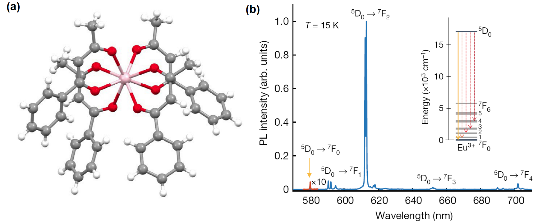 量子通信：分子、稀土和光