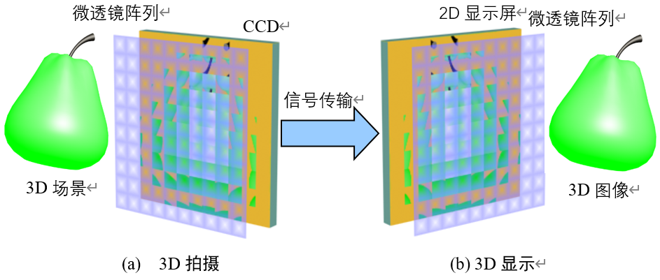 偏振复用实现高分辨率3D显示