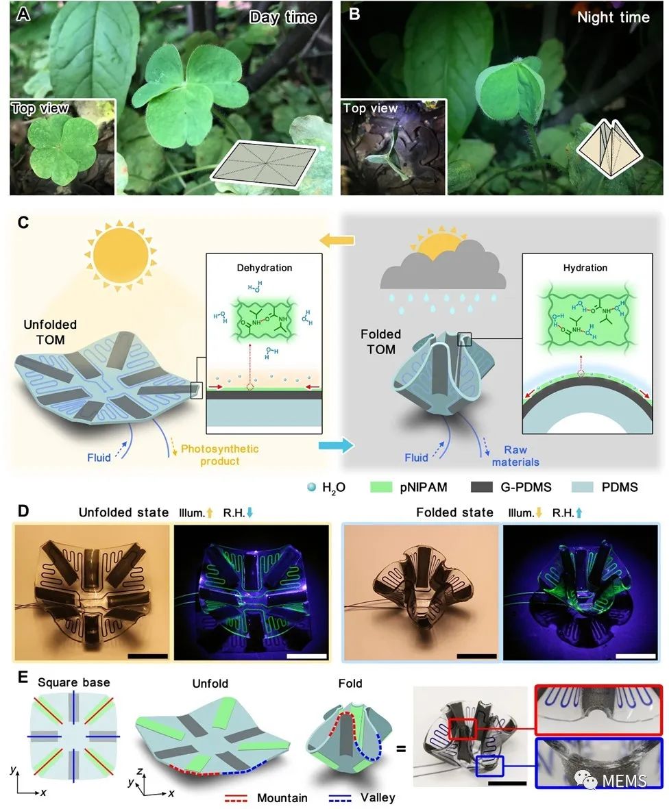 首个刺激-响应变形微流控系统，可用作环境适应性光微反应器