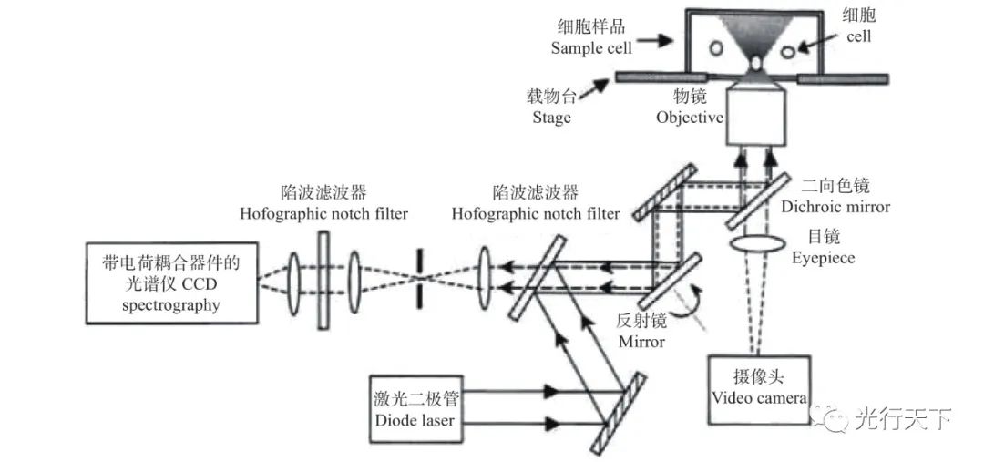 微流控技术结合光学系统的广泛应用