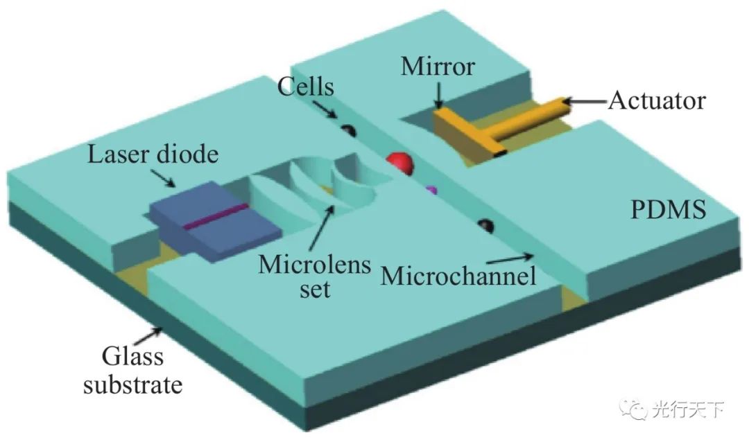 微流控技术结合光学系统的广泛应用