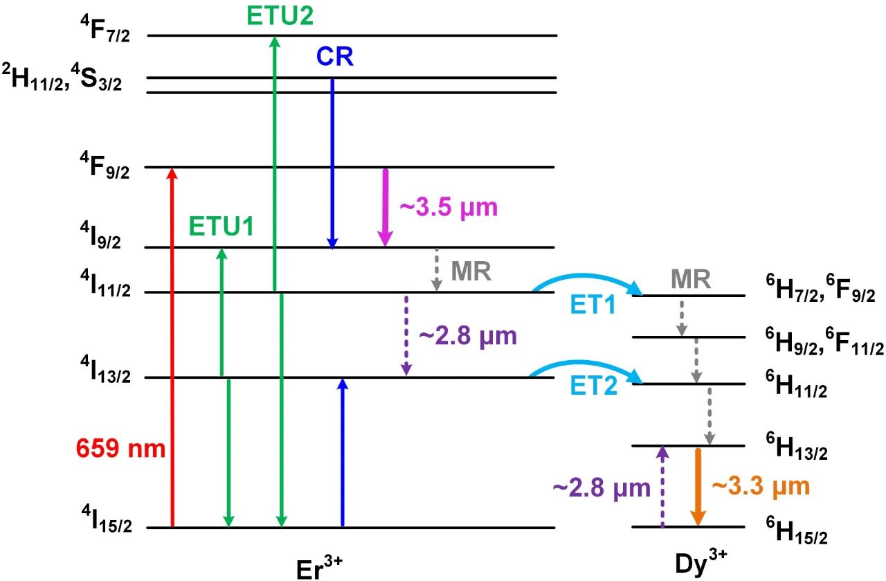 3~4 μm中红外激光新机遇：红光LD泵浦的稀土共掺氟化物光纤