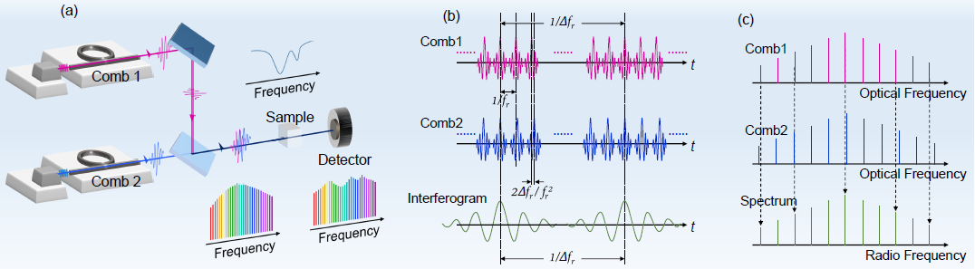 Advanced Photonics | 最精密的标尺：微腔光频梳的产生与应用