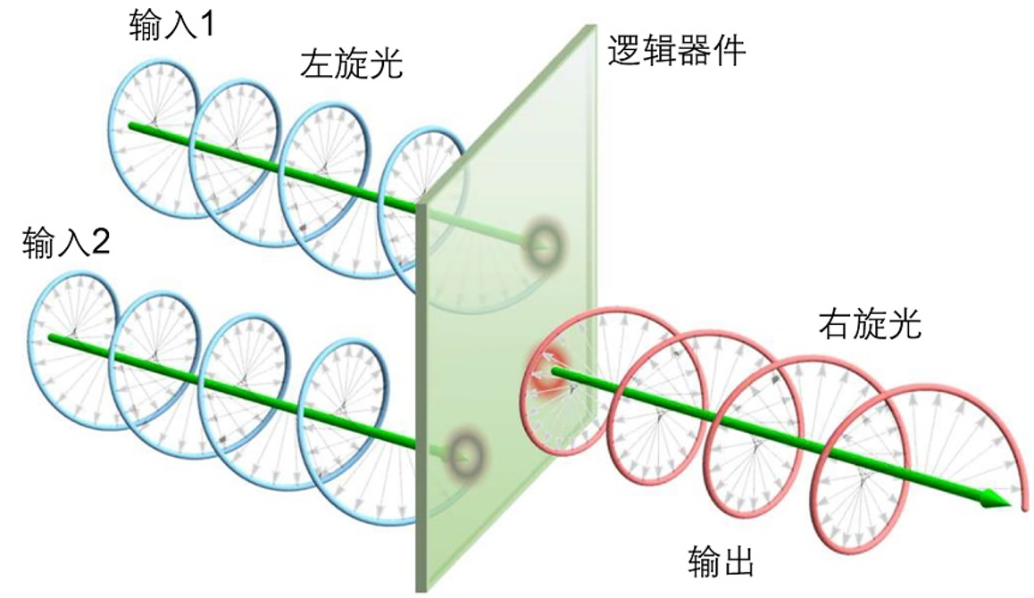 Sci. Adv. | 手性逻辑门