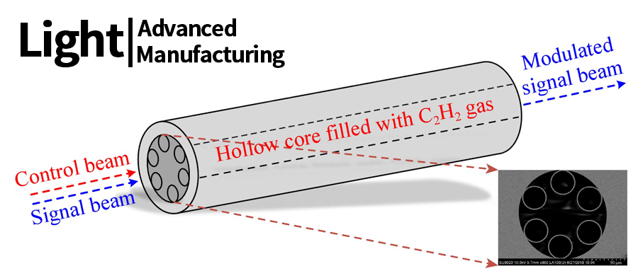 中红外全光调制器：气体填充空芯光纤新应用