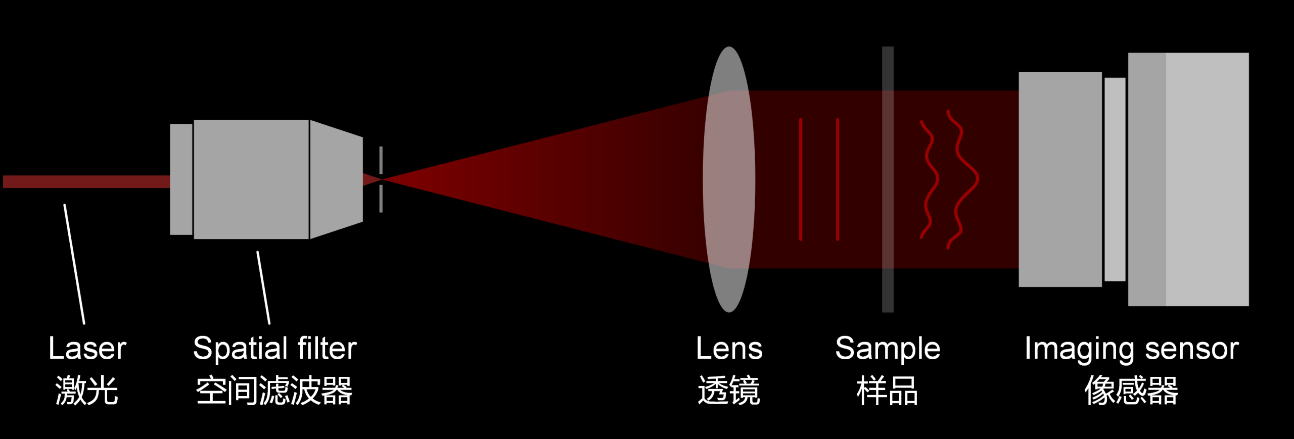 Light Adv. Manuf. | 压缩数字全息：快照式光学成像与检测