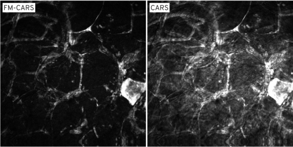 Refined Laser Systems可调谐皮秒激光器PICUS DUO