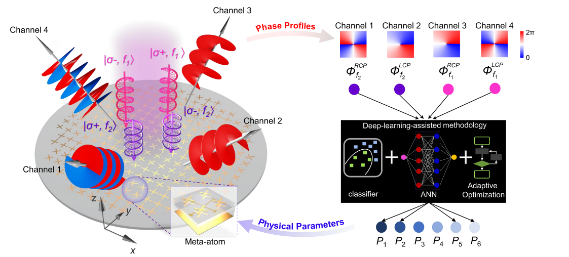 深度学习助力涡旋波束复用超表面设计 | Advanced Photonics Nexus