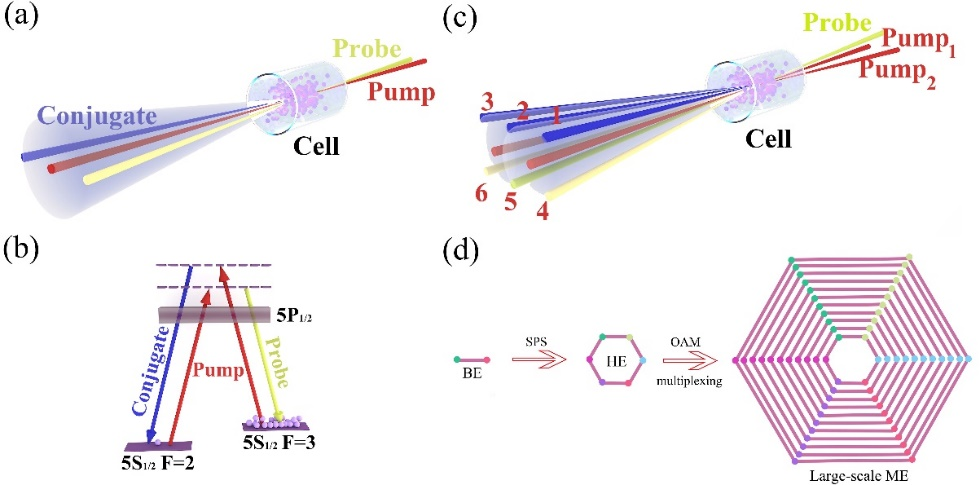 为何使用原子系综产生光量子态？华东师范大学荆杰泰教授解读 | Photonics Insights综述