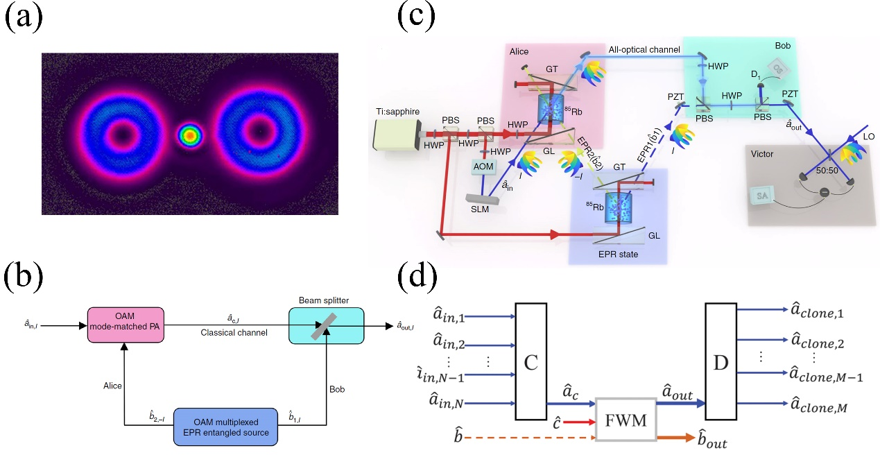 为何使用原子系综产生光量子态？华东师范大学荆杰泰教授解读 | Photonics Insights综述