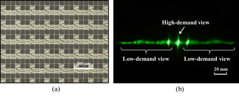 显示专题 | 大幅面超构光栅阵列技术助力光场3D显示（Nanophotonics）