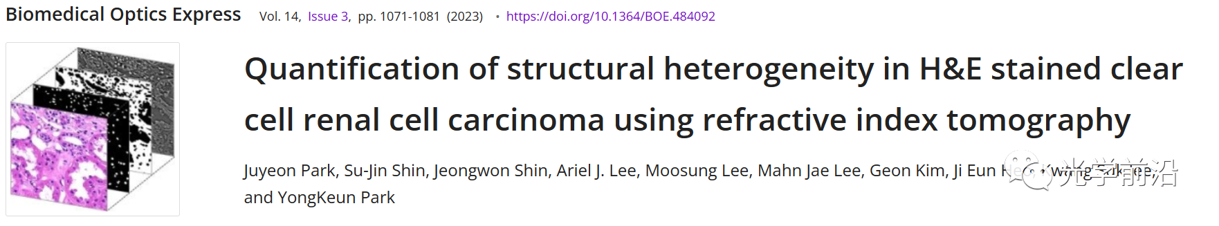 折射率层析结合明场成像定量分析肾透明细胞癌的结构异质性