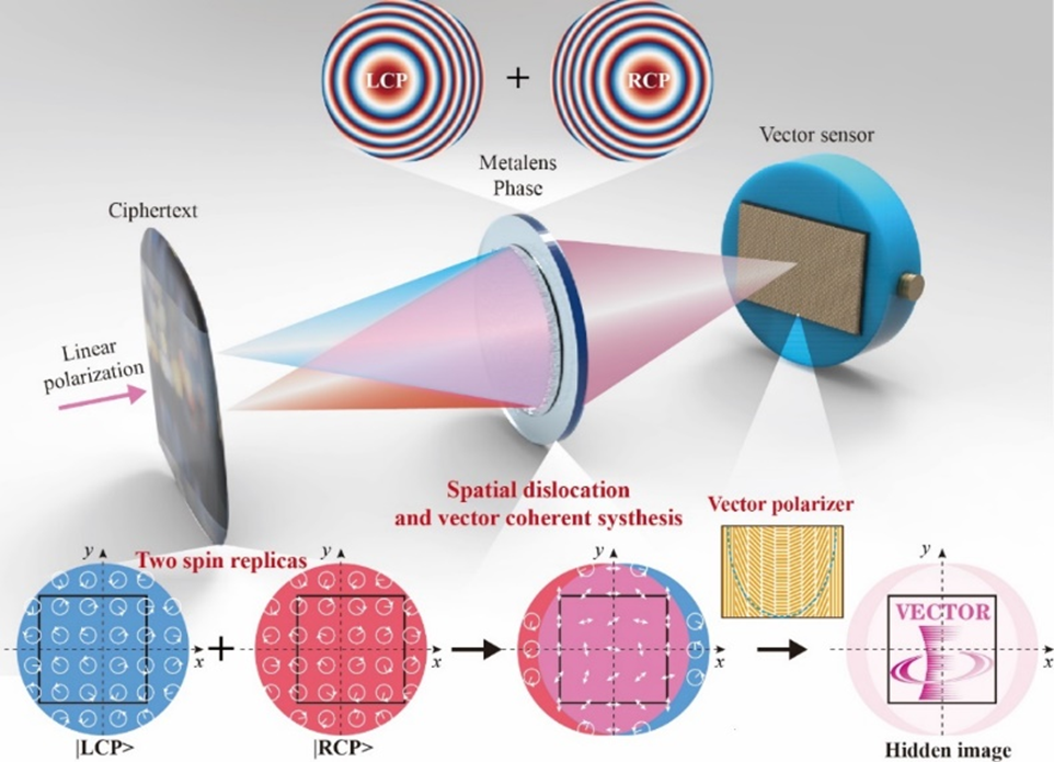 基于超构光学的全光矢量视觉加密技术【中科院光电所矢量光场研究中心】