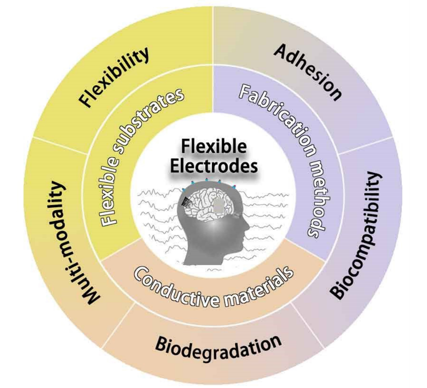 脑机接口柔性电极
