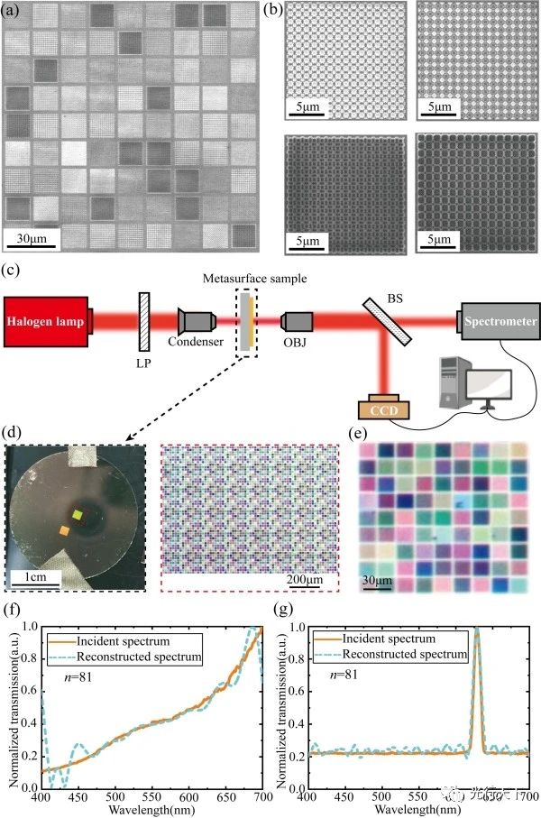 我国科学家在超构表面微型高光谱成像研究中取得进展
