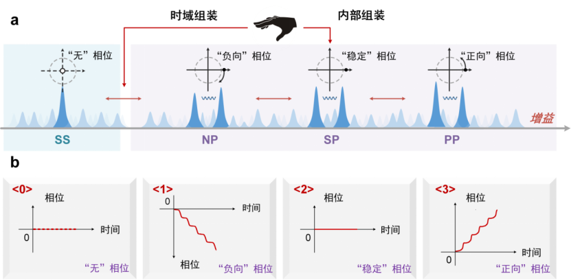 自组装脉冲的相位定制与编码