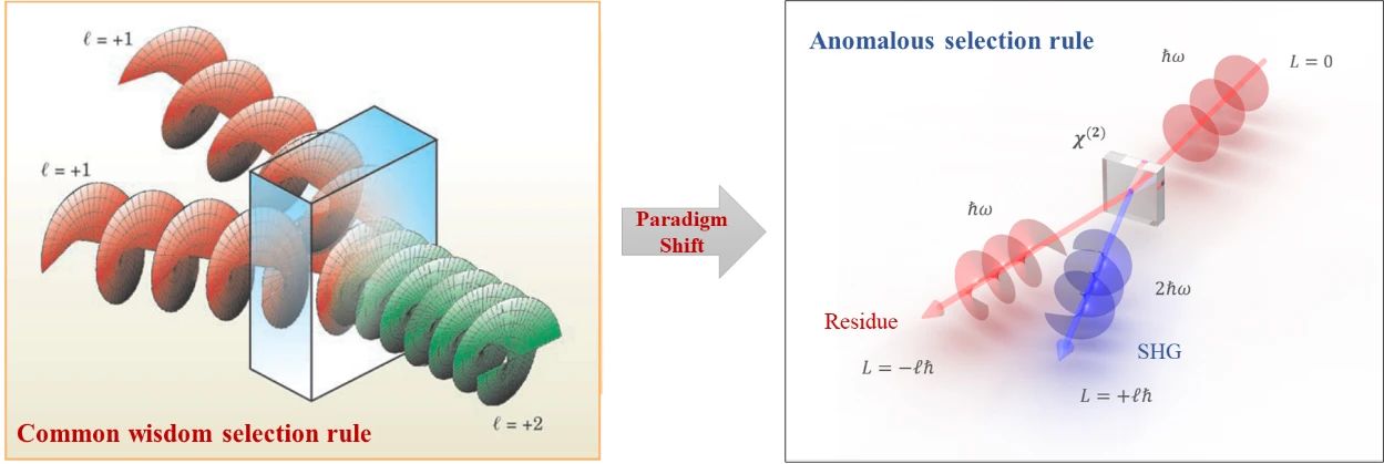 哈理工朱智涵、中科大史保森联合团队：发现非线性光学中的反常轨道角动量守恒