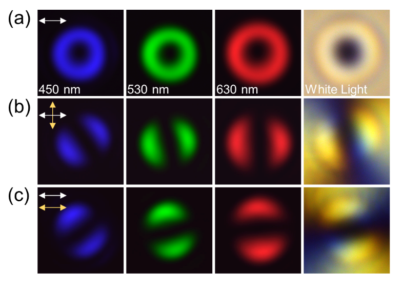 自相位补偿的涡旋光生成 | Advanced Photonics Nexus