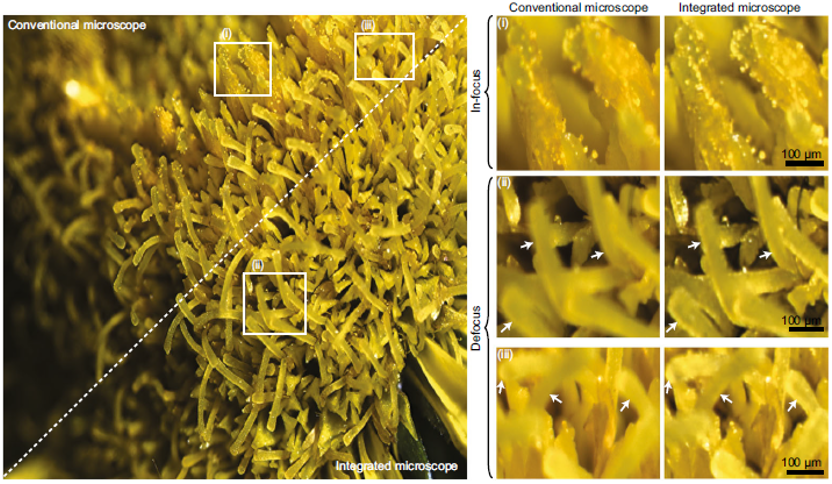 成像专题 | 集成化计算成像显微镜助力便携式诊断（Nature Communications）