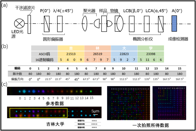 大数据时代的光之翼：飞秒激光定义光存储技术新思路