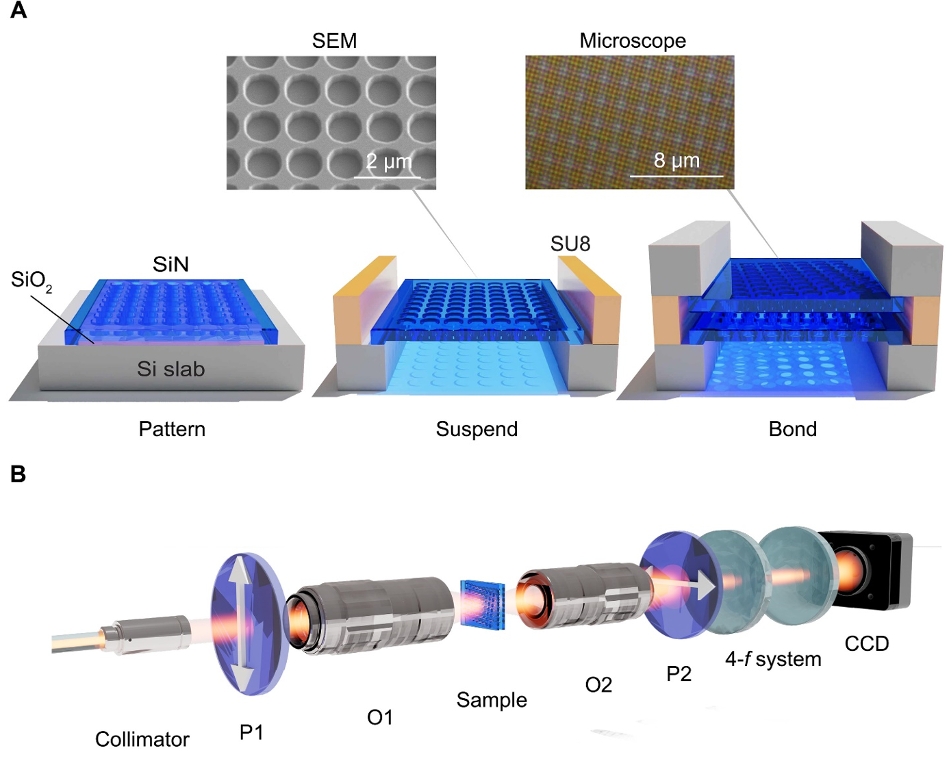 Science Advances：实现片上扭角双层光子晶体的光学能带结构测量