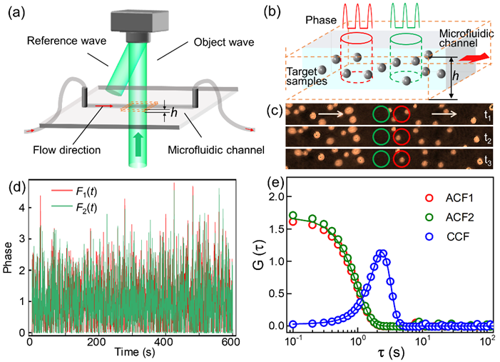 相位相关光谱：无标记全息方法测量流动生物微粒