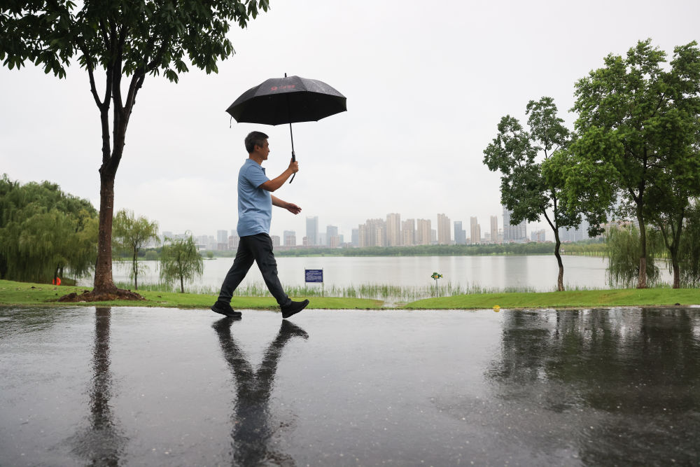 （新时代中国调研行·长江篇）长江行｜一颗卫星·两座城市·三重身份——彭承志的量子故事