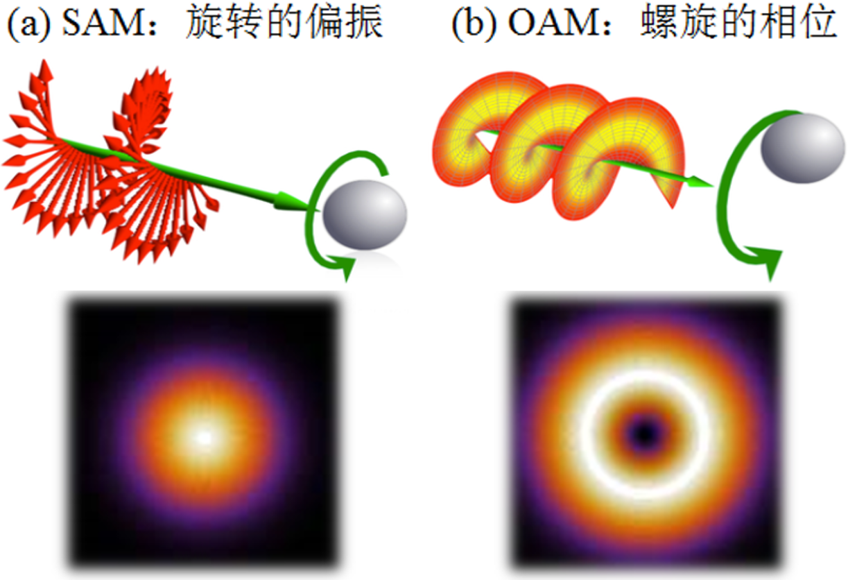 Adv. Photon. | 光子总角动量调控及滤波