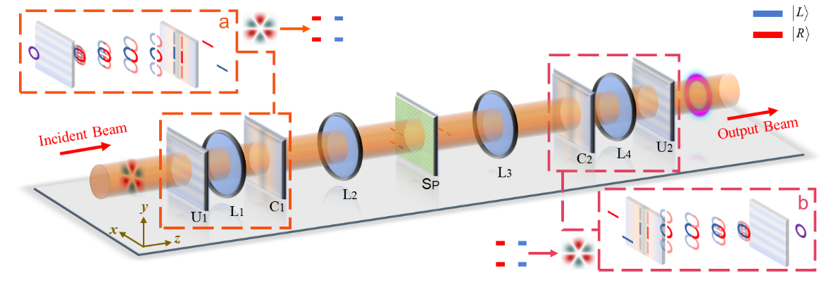 Adv. Photon. | 光子总角动量调控及滤波