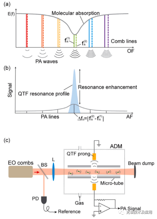 Photoacoustics | 光学频率梳与音叉增强光声光谱的非线性融合