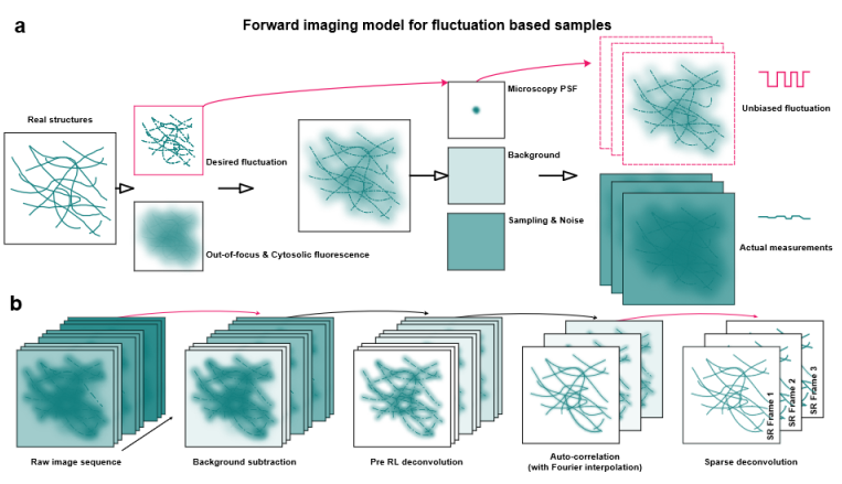 前沿：《Nature Photonics》突破，高通量超分辨显微成像照进现实