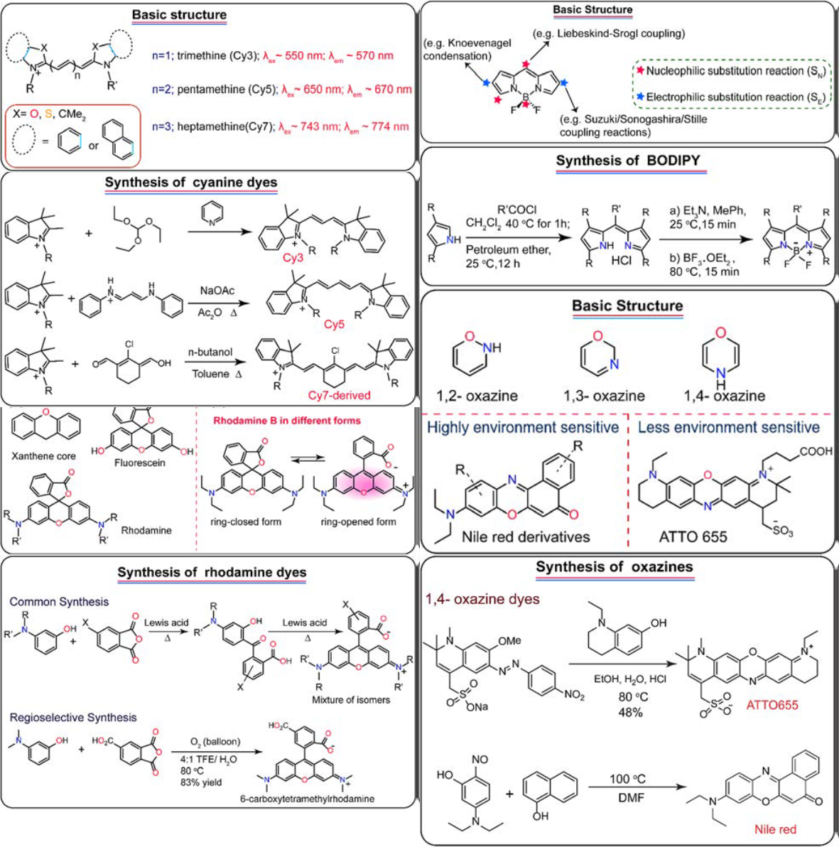 【Chem.Soc.Rev】深圳大学屈军乐/杨志刚，活细胞超分辨荧光显微成像荧光染料的选择与设计