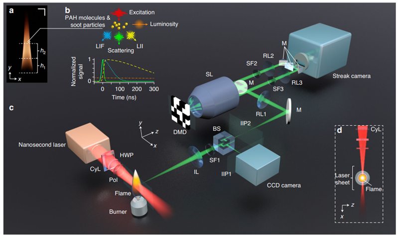 Light: Science & Applications | 火焰动力学和温度超快平面光谱成像方法研究