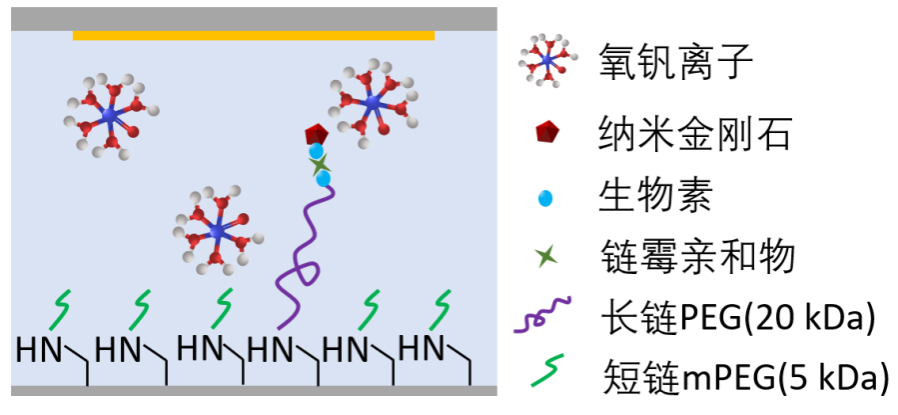 杭州亚运会上，量子加密保障赛事通信网络；欧盟将密切关注量子技术免受侵害