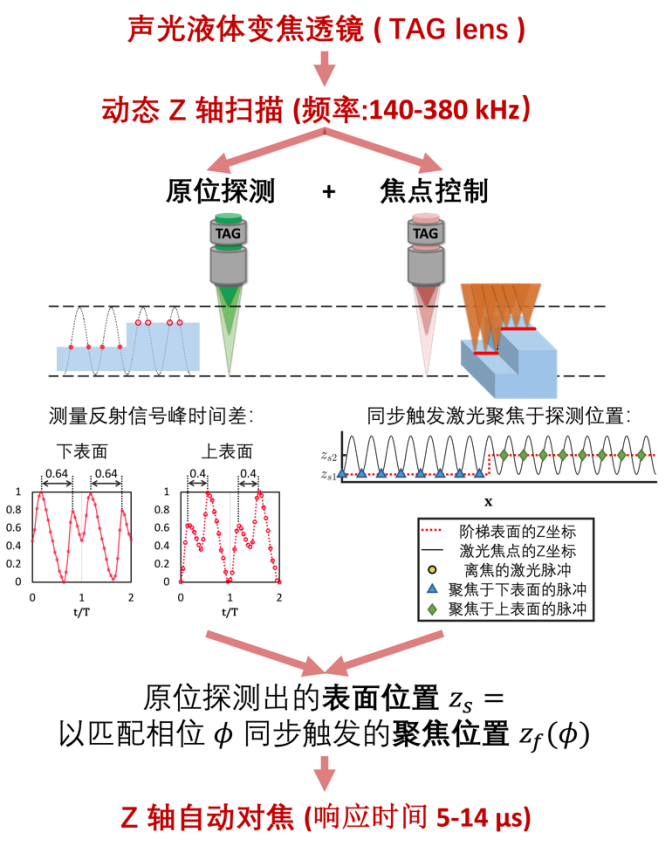 Light | 动态 Z轴扫描实现高速自动对焦