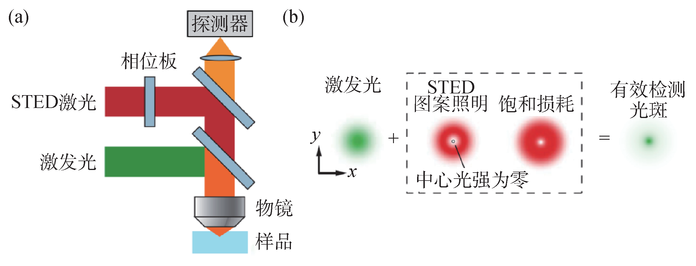 纳米分辨率光学显微成像